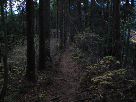 20171116hike (395)